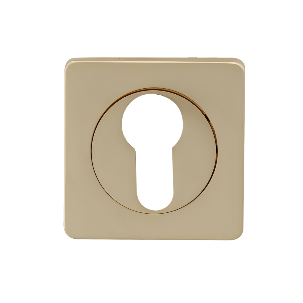 Накладки под цилиндр ET02SG (сатин золото)