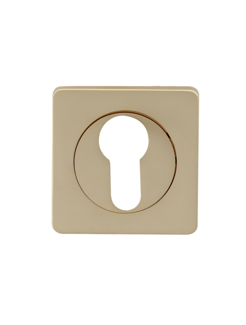 Накладки под цилиндр ET02SG (сатин золото)