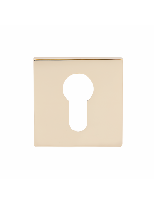 Накладки под цилиндр ET04PB SL  (золото)