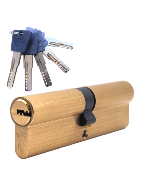 Механизм цилиндровый  P100 (50х50) SВ 5 ключей (мат. золото)