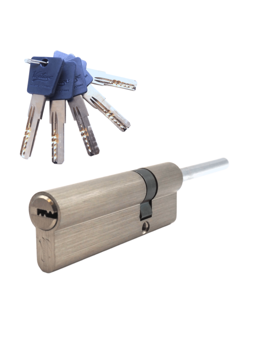 Механизм цилиндровый с длинным штоком LT100 (70x30S) SN (мат. никель)